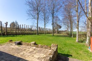 Photo 20- click for photo gallery